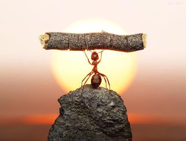 Constancia y trabajo